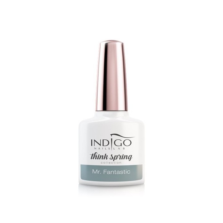 Mr. Fantastic Gel Polish