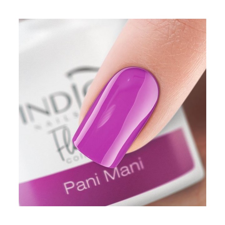 Pani Mani Gel Polish