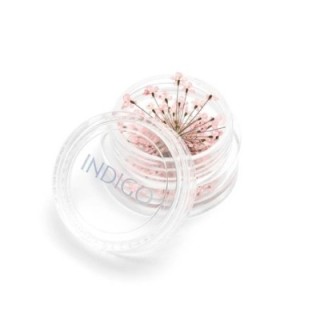 Fleurs Séchées Rose