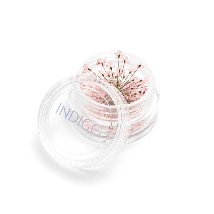 Fleurs Séchées Rose