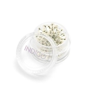 Fleurs Séchées Blanc